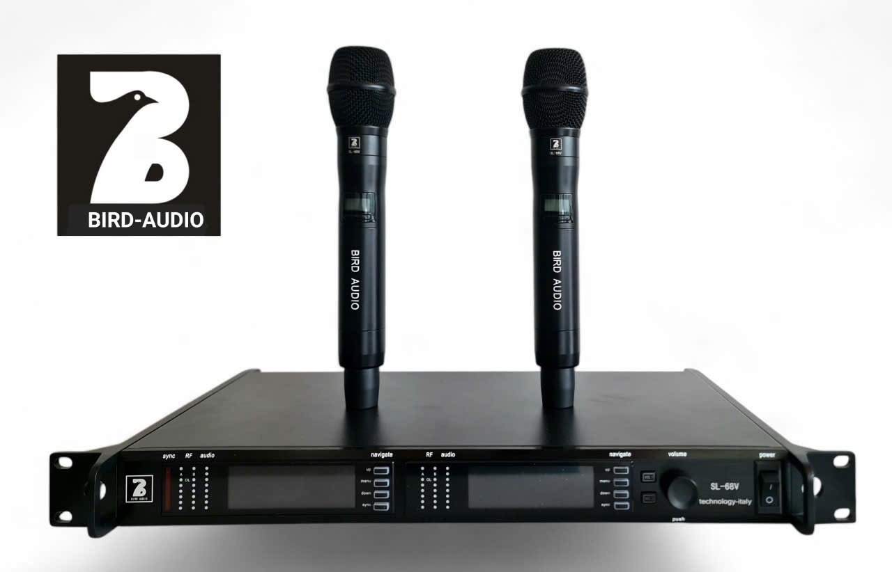 Micro không dây -Modell- SL-68V