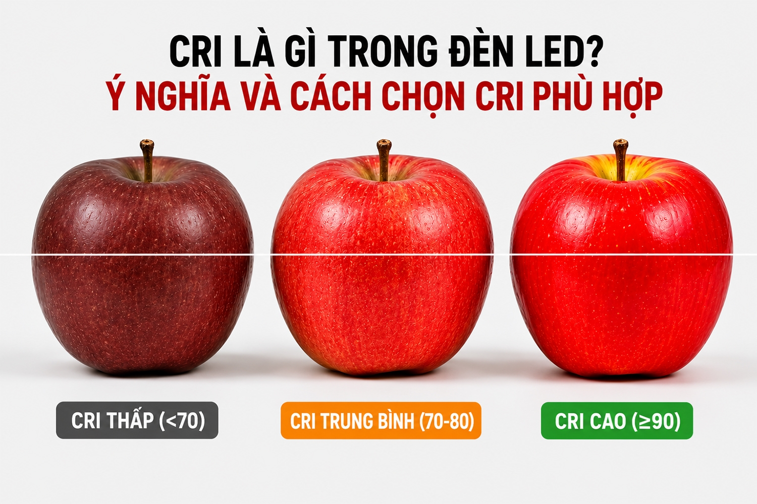 CRI là gì trong đèn LED? Ý nghĩa và cách chọn CRI phù hợp 