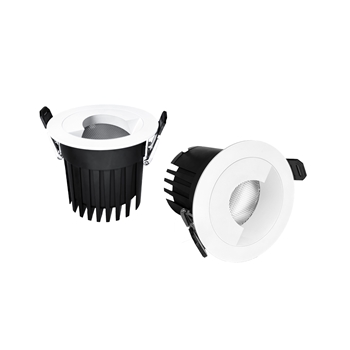 Spotlight phân cực